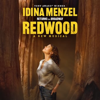 REDWOOD Broadway Theater Tickets for Two