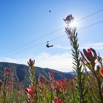 Santa Ynez Valley Zipline Adventure Tour