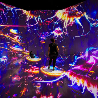 Gordon Ramsay’s Hell’s Kitchen Dinner for Two and ARTECHOUSE Admission