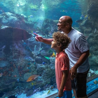 Admission to the Aquarium of the Pacific