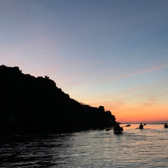 Bioluminescent Kayak Adventure in Tomales Bay