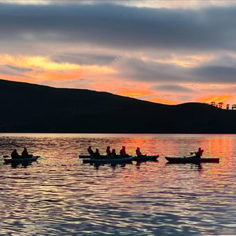 Tomales Bay Bioluminescence Kayaking for Two