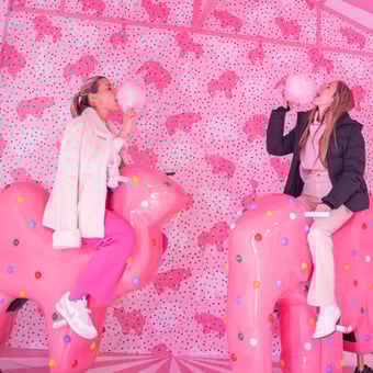 Museum of Ice Cream VIP Admission 