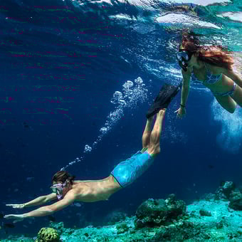 Olowalu Reef Kayak and Snorkeling Tour
