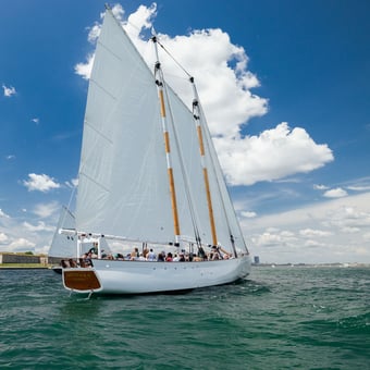 Newport Scenic Sail
