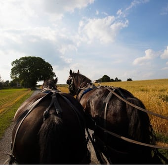 2-Day Philadelphia, DC, and Amish Country Adventure 