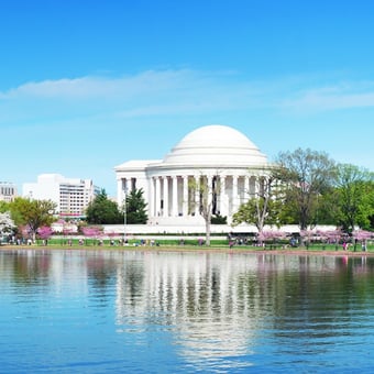 DC in a Day Convertible Bus Tour