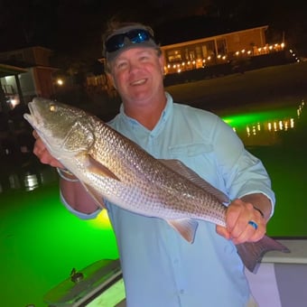 Nighttime Dock Light Fishing Experience