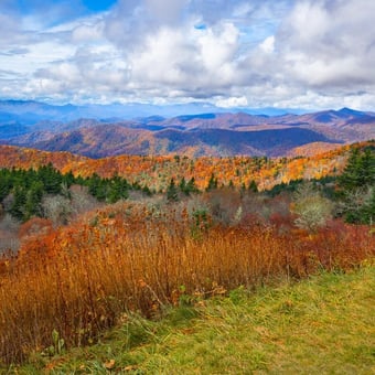 Full-Day Fall Foliage Driving Tour