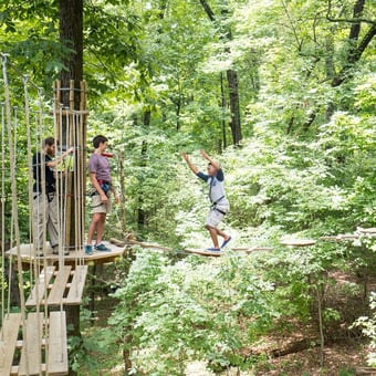 Treetop Adventure with Go Ape