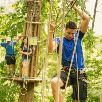 Treetop Adventure with Go Ape