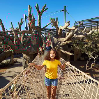 San Diego Zoo® Admission