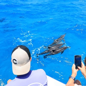 Kona Snorkel and Dolphin Watching Cruise
