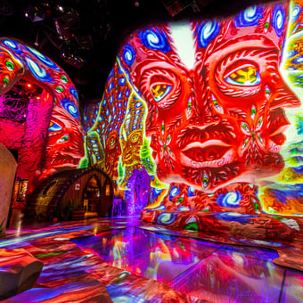 Meow Wolf’s Omega Mart General Admission