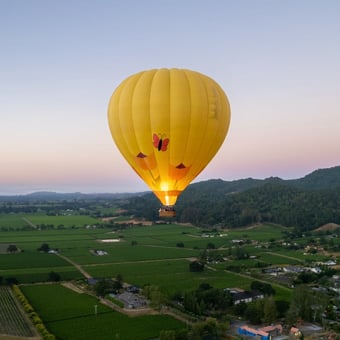 Napa Valley Hot Air Balloon Ride and Wine Tasting at Ashes & Diamonds Winery for Two