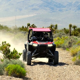5-Hour Desert Off Road Adventure with Lunch at the Historic Pioneer Saloon for Two