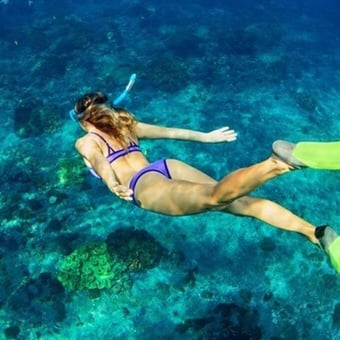 Snorkel with Sea Turtles