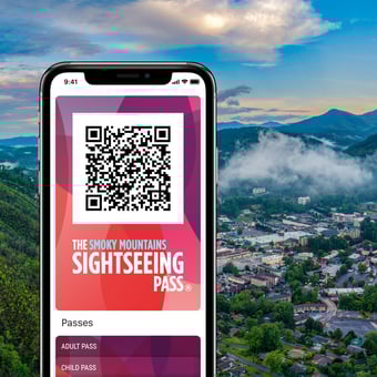 The Smoky Mountains Sightseeing Flex Pass - Five Attractions 