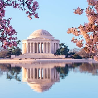 Washington DC Haunted Booze and Boos Tour