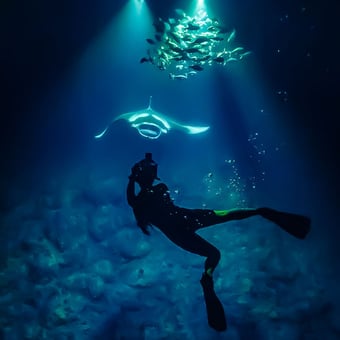 Kona Manta Ray Night Snorkel