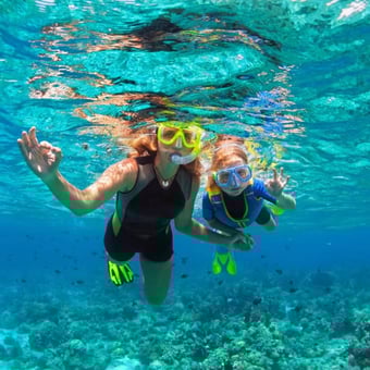 Morning Reef Snorkel with Breakfast and Drinks