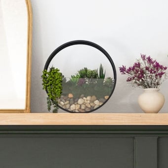 At-Home DIY Wall Terrarium Kit 