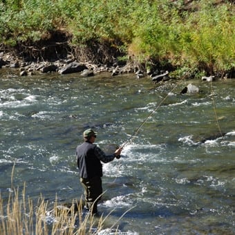 Guided Fly Fishing