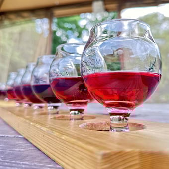 Tour and Tasting at Wild Blossom Meadery