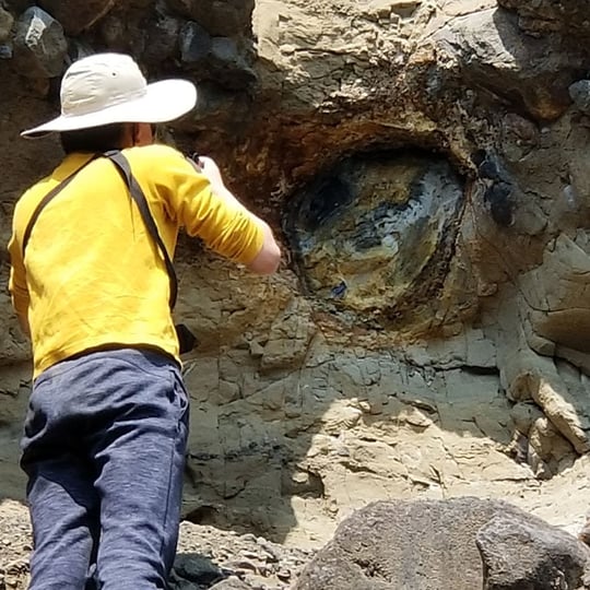 Guided Yellowstone Petrified Forest Hike Virgin Experience Gifts