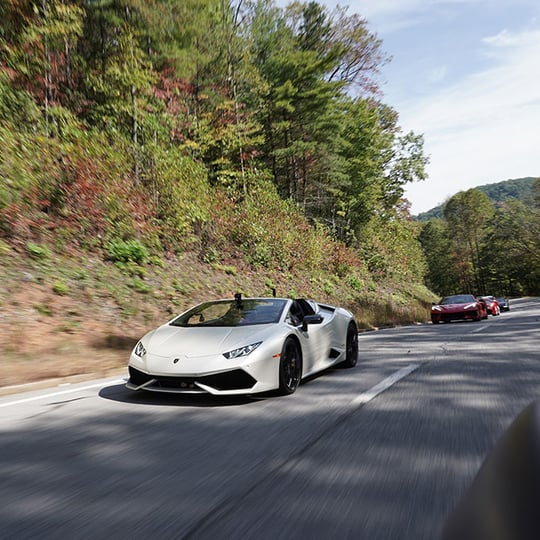 Lamborghini Driving in Sonoma