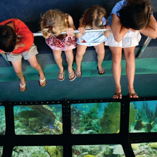 Kids looking at glass bottom