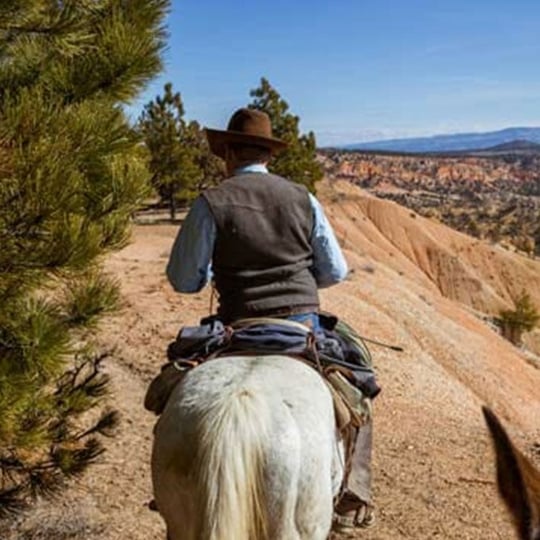 All-Day Horseback Riding