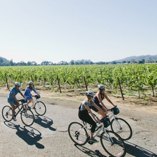 Napa Valley Wine and EBike Tour in San Francisco at Virgin Experience
