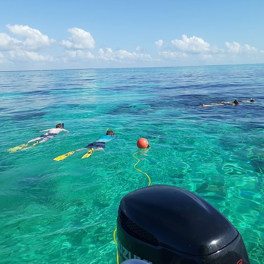 Private Key Largo Snorkel Tour Virgin Experience Gifts