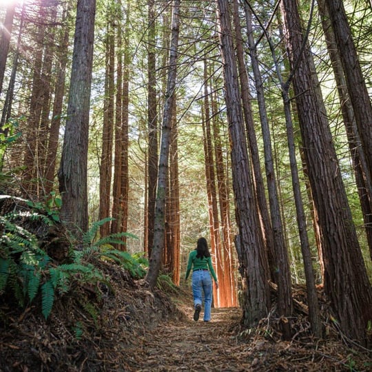 Woman in Forest Hiking