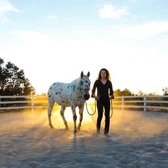 Youth Horse Whispering Experience