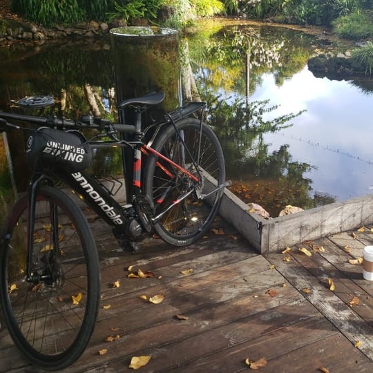 Bike by Lake