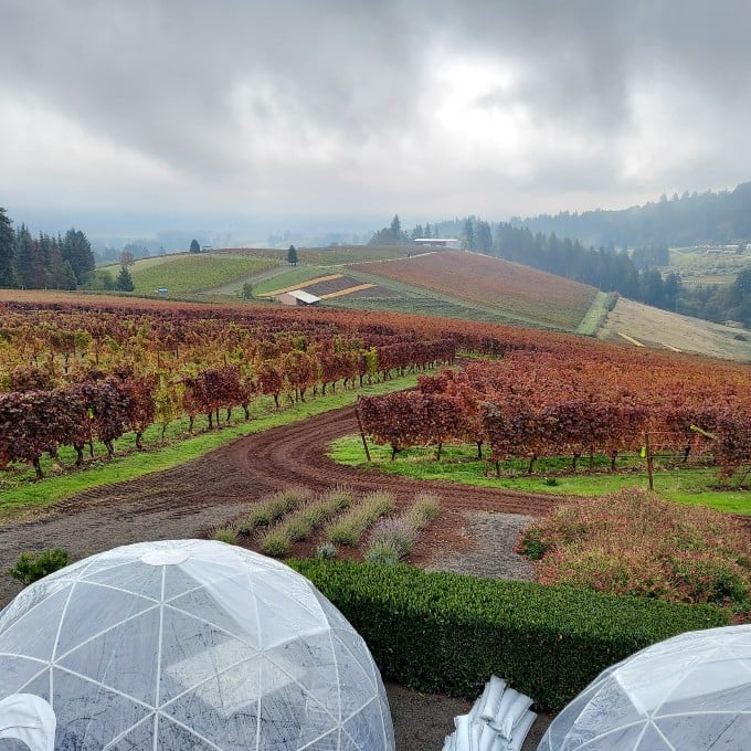 Willamette valley wine tours cheap