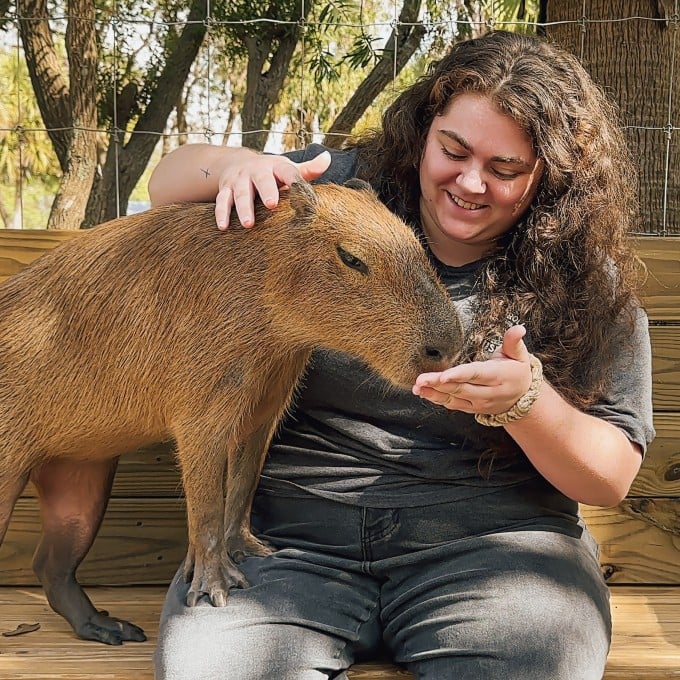 Florida Capybara Encounter