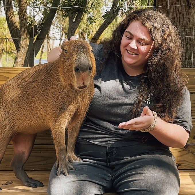Capybara Adventure