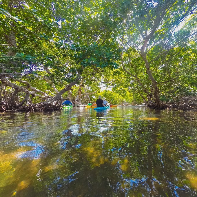 Key West Kayaking