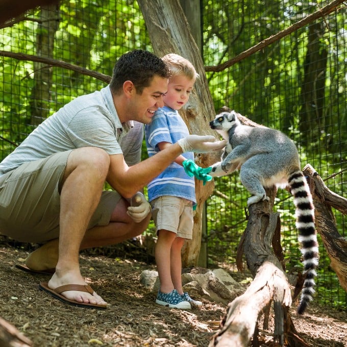 Father and son with lemur