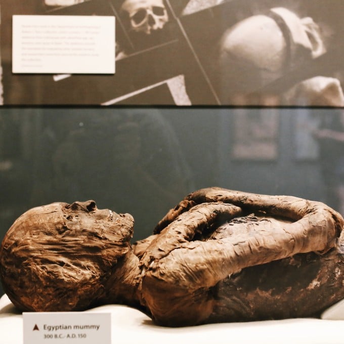 Preserved Egyptian Mummy 
