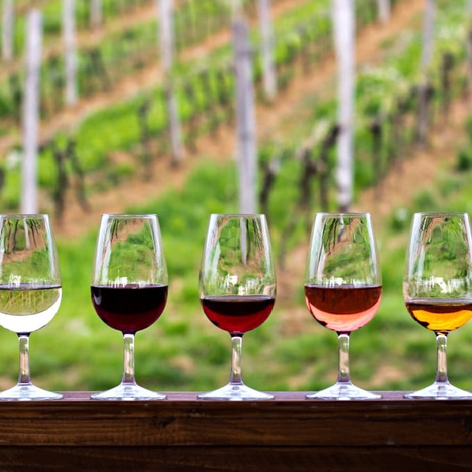 Wine glasses in vineyard