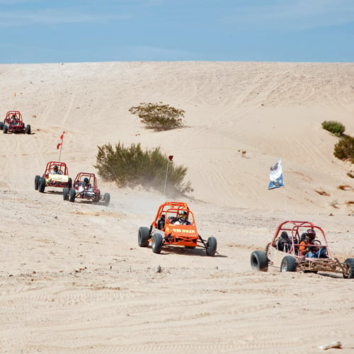 Extreme Dune Buggy Experience in Las Vegas