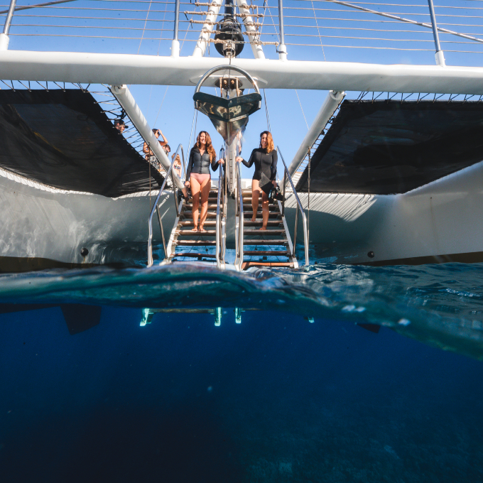 AllInclusive Tacos and Turtles Catamaran Snorkeling Adventure Virgin