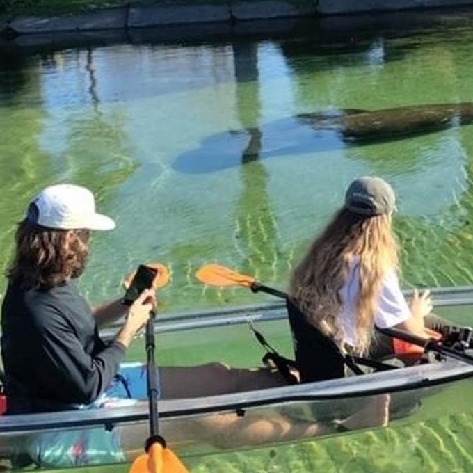 Weeki Wachee Clear Kayak Manatee Ecotour | Virgin Experience Gifts