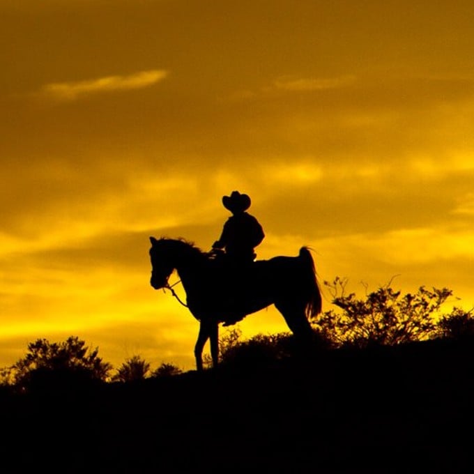 Person riding horse at sunset