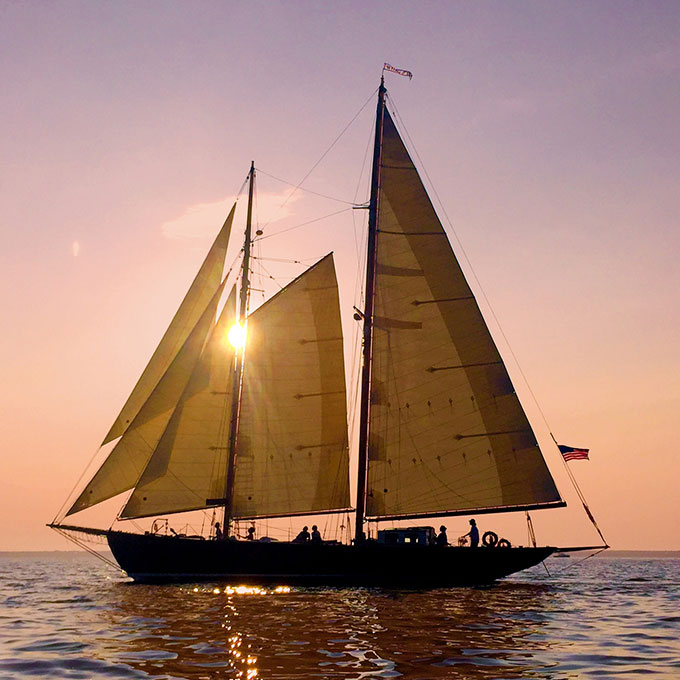 Sail in sunset