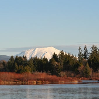 Explore Mt. St. Helens